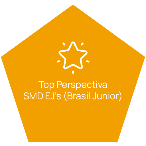 Top Perspectiva SMD EJ´s (Brasil Junior)